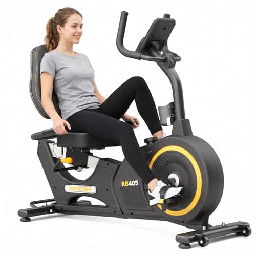 VANSWE Recumbent Bike (light commercial)