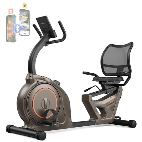 Niceday Recumbent Exercise Bike from Niceday