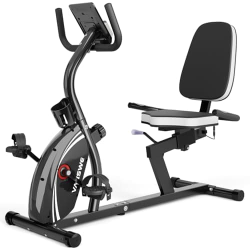 VANSWE Recumbent Bike (380 lb) from VANSWE